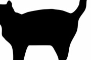 最大種の猫メインクーンは成長の速さも驚異的…生後3か月と6か月でこんなに違う