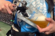 韓国人「日本の野球場の名物ビール売り子が可愛すぎる件」